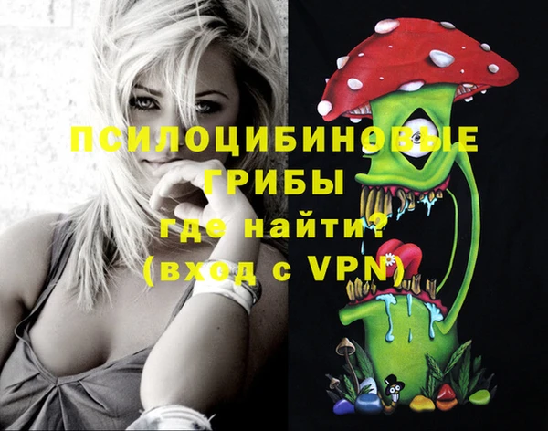 СК Кинешма