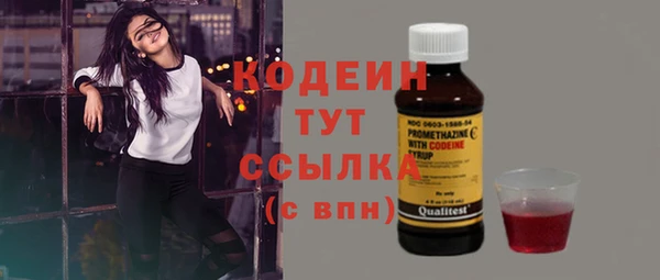 ГАЛЛЮЦИНОГЕННЫЕ ГРИБЫ Козловка