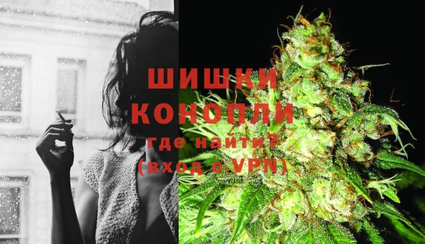 ГАЛЛЮЦИНОГЕННЫЕ ГРИБЫ Козловка