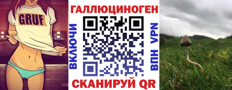 Псилоцибиновые грибы Psilocybe  Горячеводский 